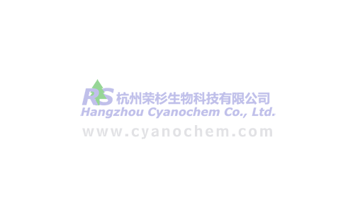 RS10011 | 1421373-66-1 | Osimertinib